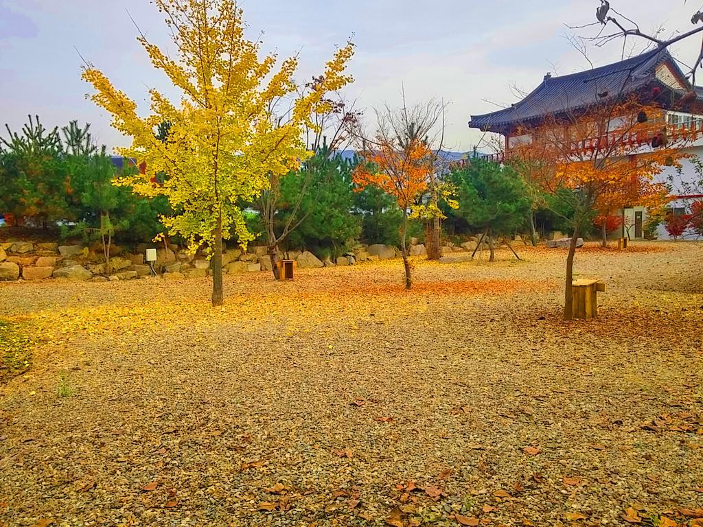Chowoo Guesthouse Gyeongju Exterior photo